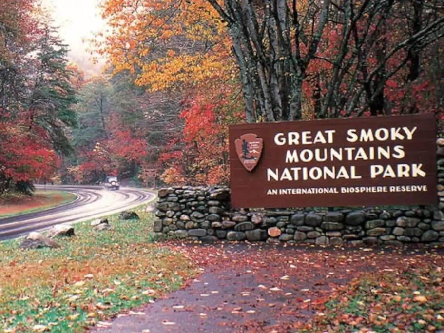 Вілла The Log Castle~Stunning Mountain Views~Hot Tub Сев'єрвілл Екстер'єр фото
